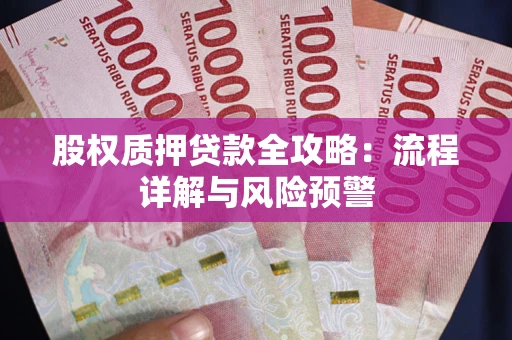 济南股权质押贷款全攻略：流程详解与风险预警