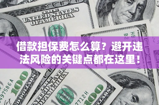 济南借款担保费怎么算？避开违法风险的关键点都在这里！